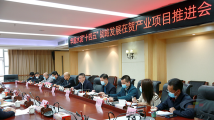 華潤水泥“十四五”戰略發展在賀產業項目推進會圓滿舉行，賀州政企合力共繪發展藍圖